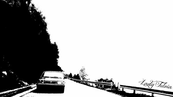 PicsArt_1442355333613_800x450.jpg