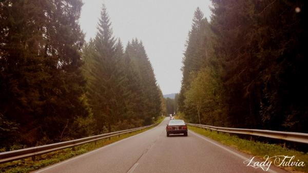 PicsArt_1442355616135_800x450.jpg
