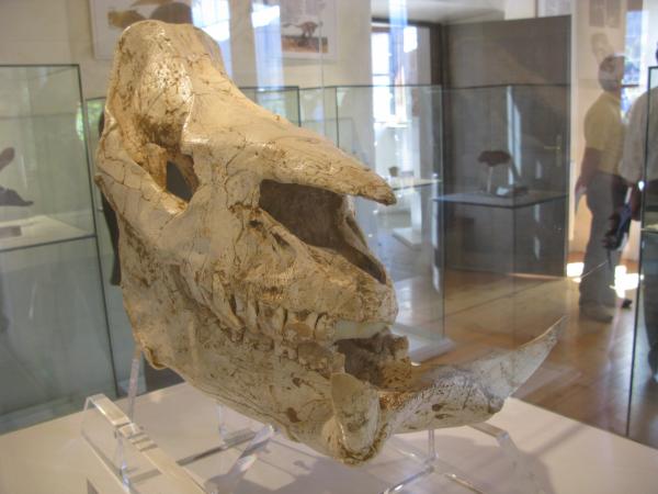 Raduno_Fiera_di_Primiero_06092009_105.jpg