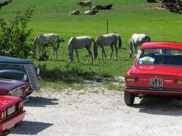 Raduno_Fiera_di_Primiero_06092009_121.jpg