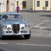 DSC_0137_800x532.jpg