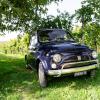 Raduno_Lancia_Aldamidas100.jpg